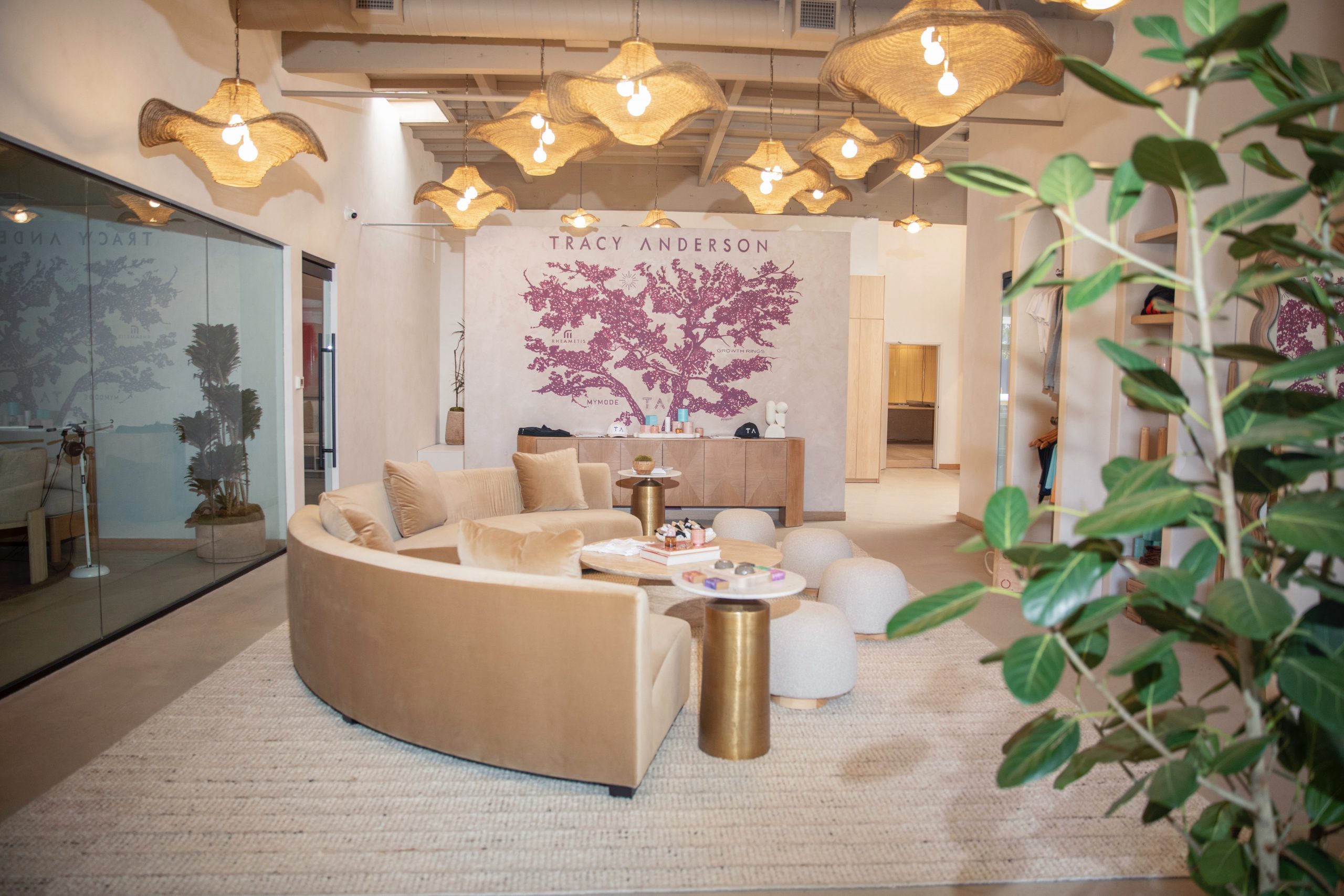 Tracy Anderson Studio Santa Monica Privè location3