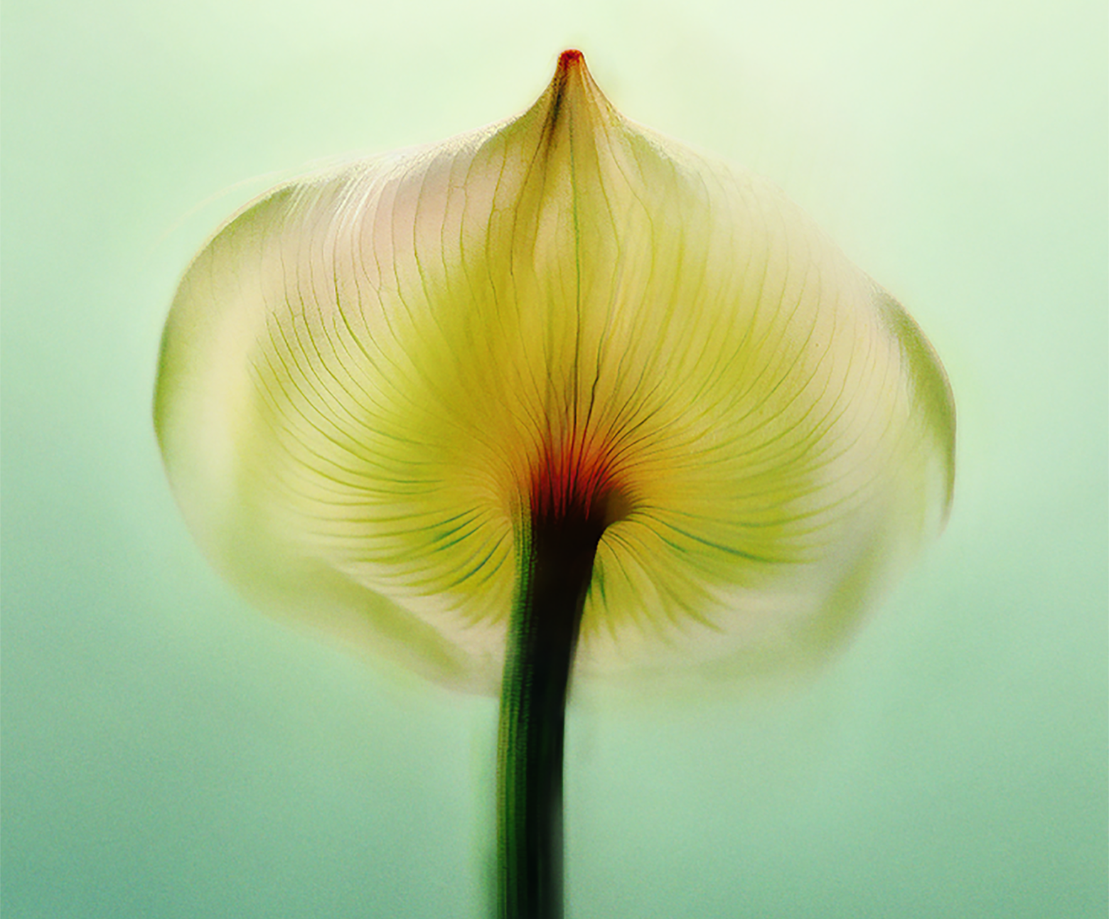 Tracy Anderson Studio London Studio0